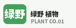 免费看片