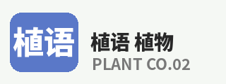 免费看片